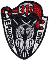 1.Staffel JaboG 31