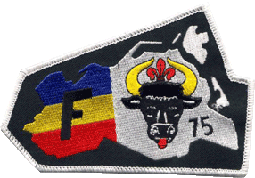 JG 75&nbsp;&nbsp;1991 - 1993